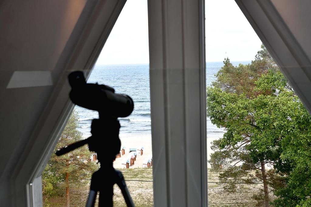 Příroda nedaleko hotelu