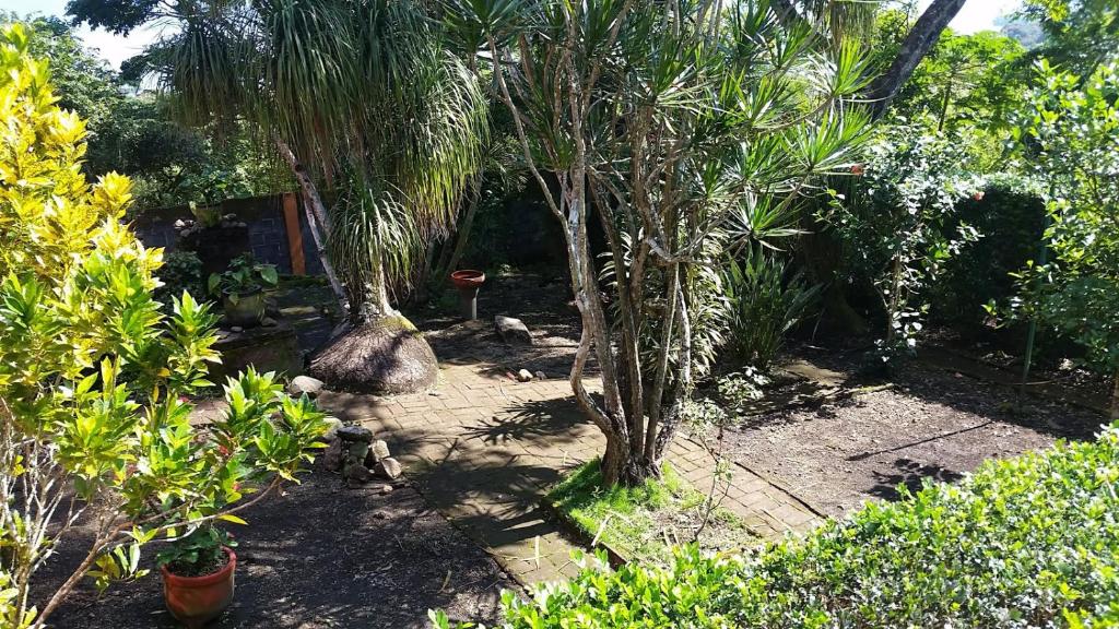 Zahrada ubytování Posada Los Chaneques Catemaco