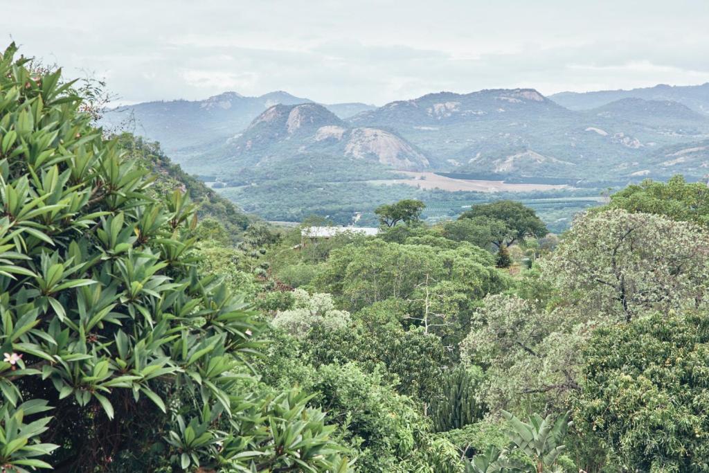 uma vista para um vale com montanhas e árvores em Leopard Tree Retreat em Nelspruit