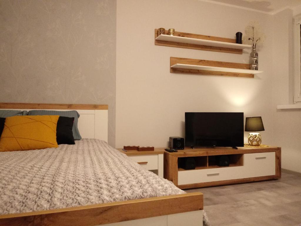 Televízia a/alebo spoločenská miestnosť v ubytovaní Apartament 27