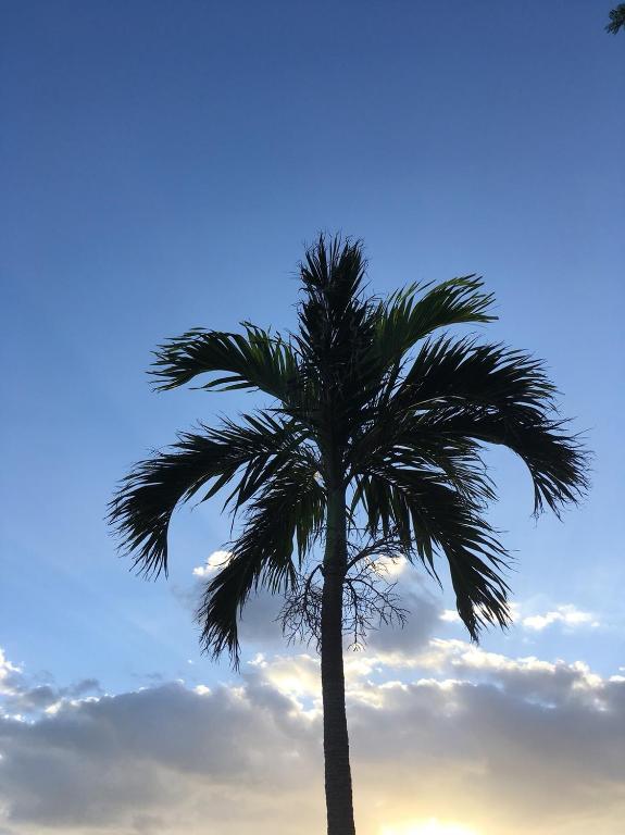 Fotografie z fotogalerie ubytování Y' RISE TO HOTEL Miyakojima v destinaci Mijakodžima