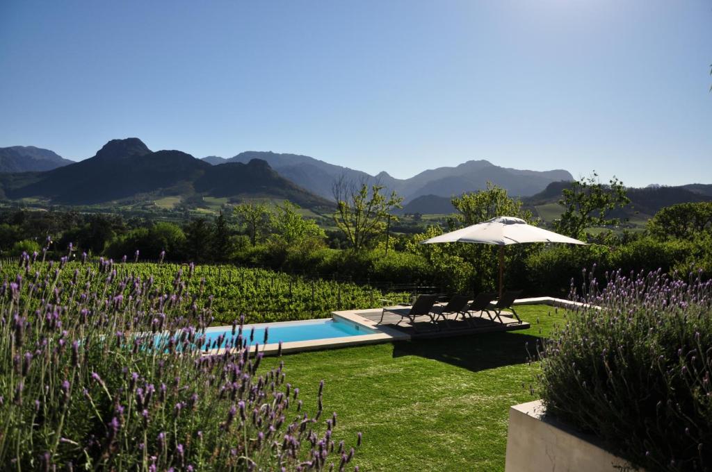 a garden with a swimming pool and an umbrella at Blueberry Hill Cottages in Franschhoek