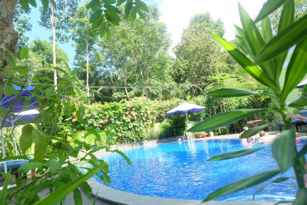 a swimming pool in a resort with trees at Mai Binh Phuong Bungalow in Phú Quốc