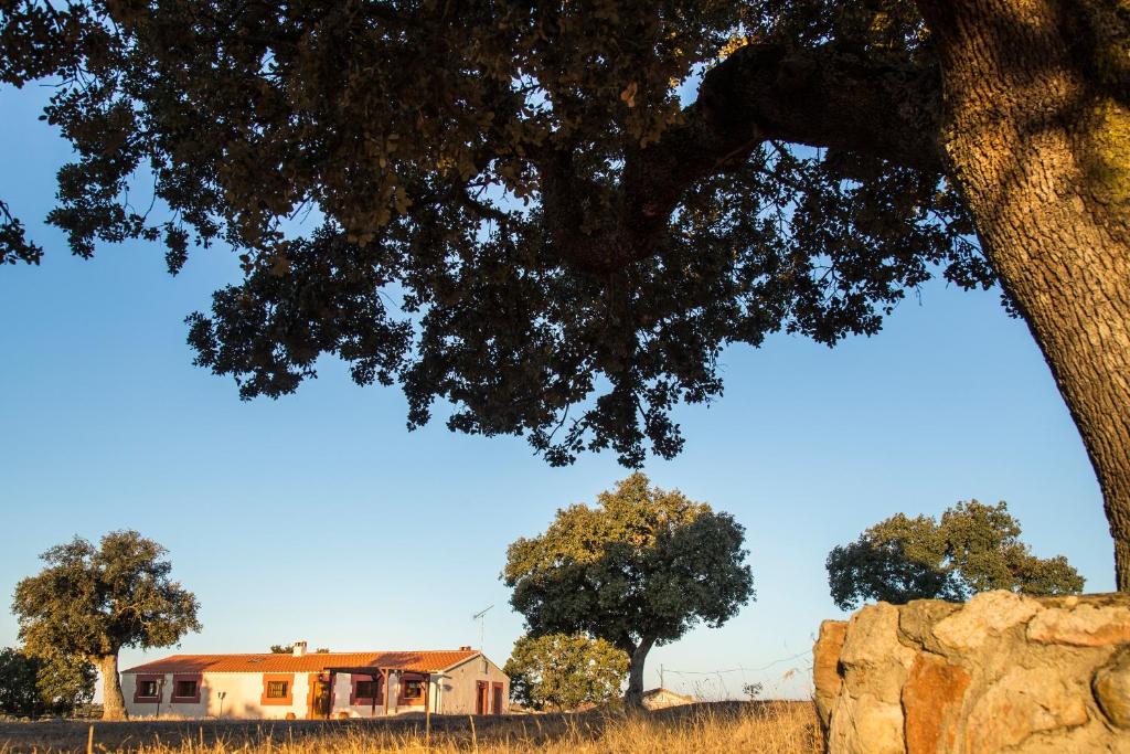 Dehesa de Montealto - Huis Met Vijf Slaapkamers