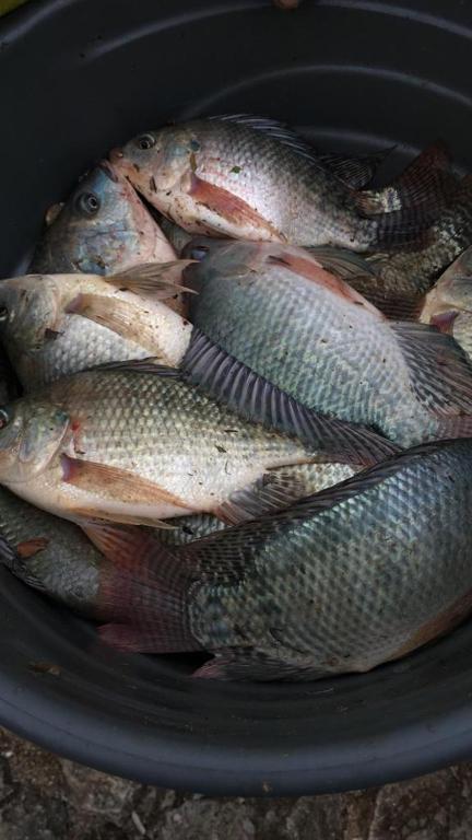  Pousada Rancho Flores