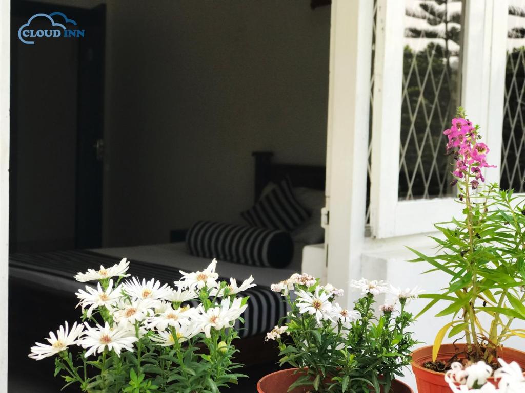 Zahrada ubytování Cloud Inn Kandy Homestay