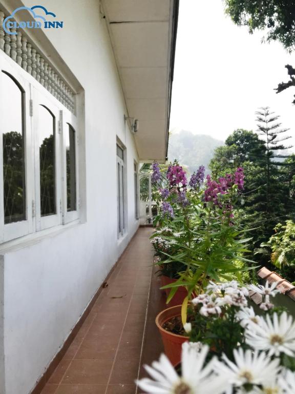 Zahrada ubytování Cloud Inn Kandy Homestay