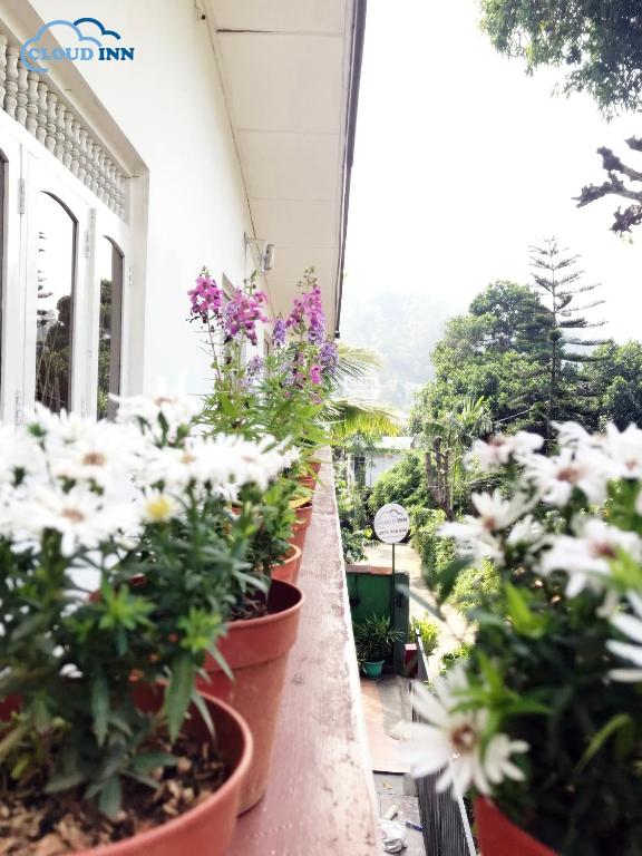 Zahrada ubytování Cloud Inn Kandy Homestay