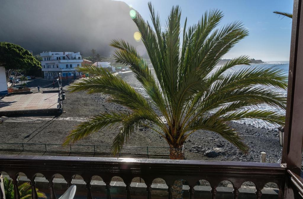 a palm tree sitting on a beach next to the ocean at Apartamento Casanova 1A in La Playa Calera