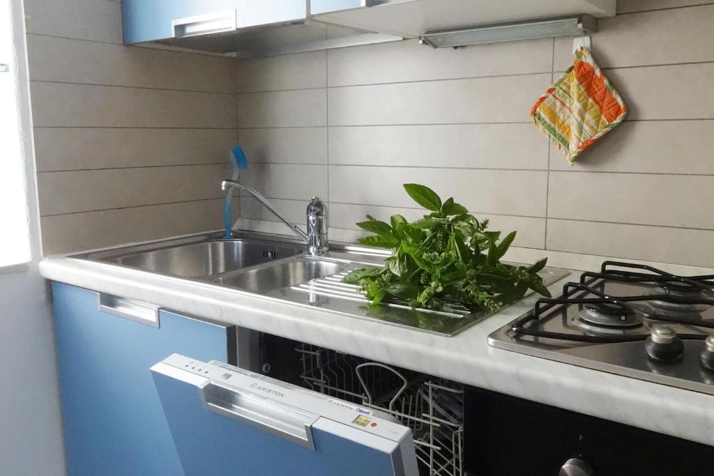 A kitchen or kitchenette at Livada