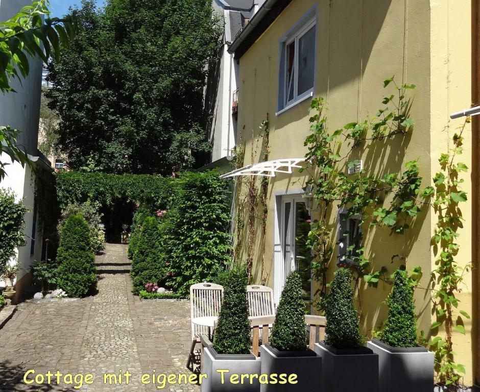 a courtyard of a house with two chairs and trees at City-Ferienwohnungen-Dresden - zentral gelegen im Haus Louisenstrasse 11 - Dresden-Neustadt in Dresden