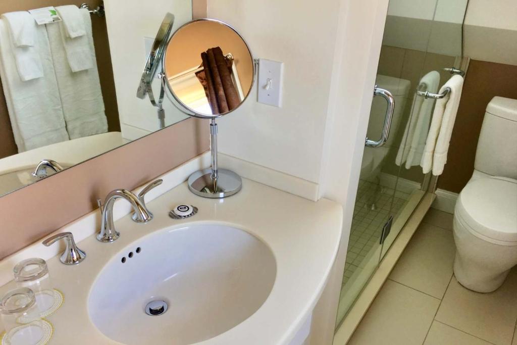 a bathroom with a sink and a mirror and a toilet at Benchmark Inn in Provincetown