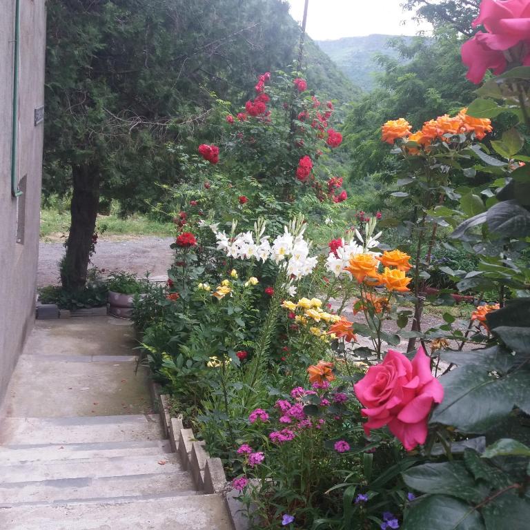 Zahrada ubytování IRIS B&B in DEBED CANYON
