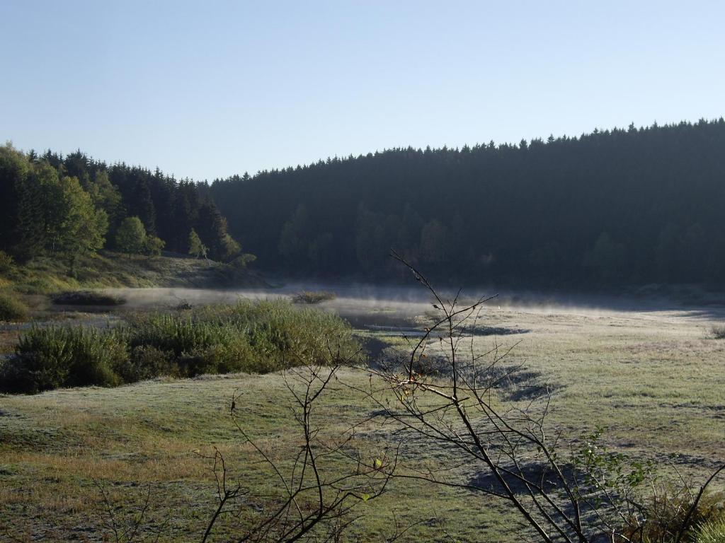 Příroda nedaleko hotelu