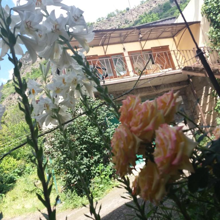 Zahrada ubytování IRIS B&B in DEBED CANYON