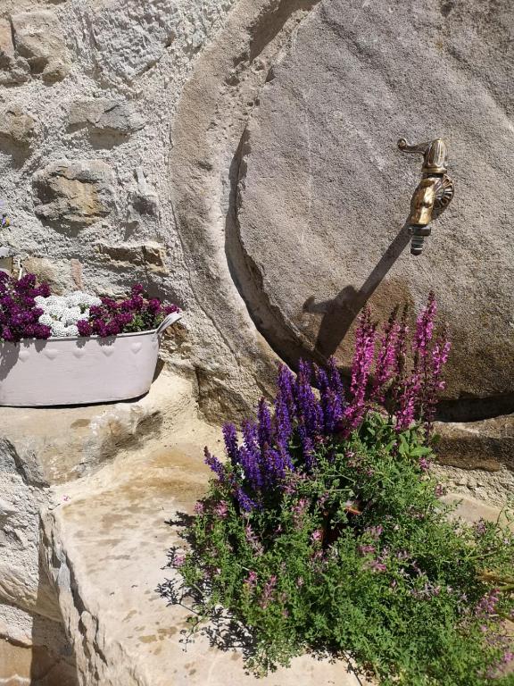 Zahrada ubytování B&B Col di Piagge