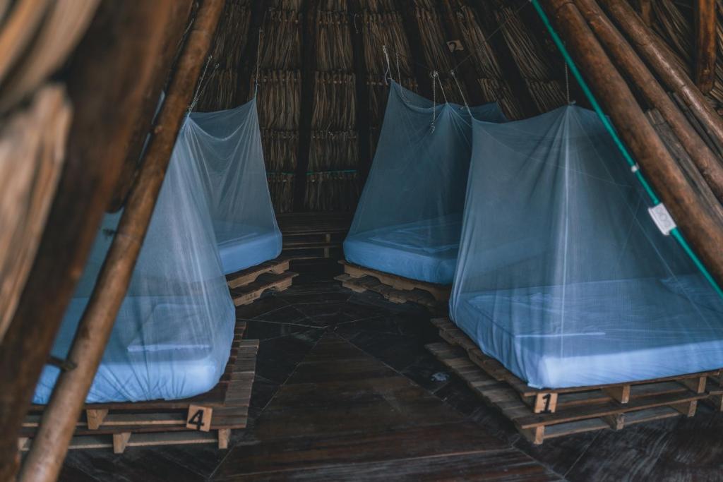 Imagen de la galería de Los Hermanos Beach Hostal, en Guachaca