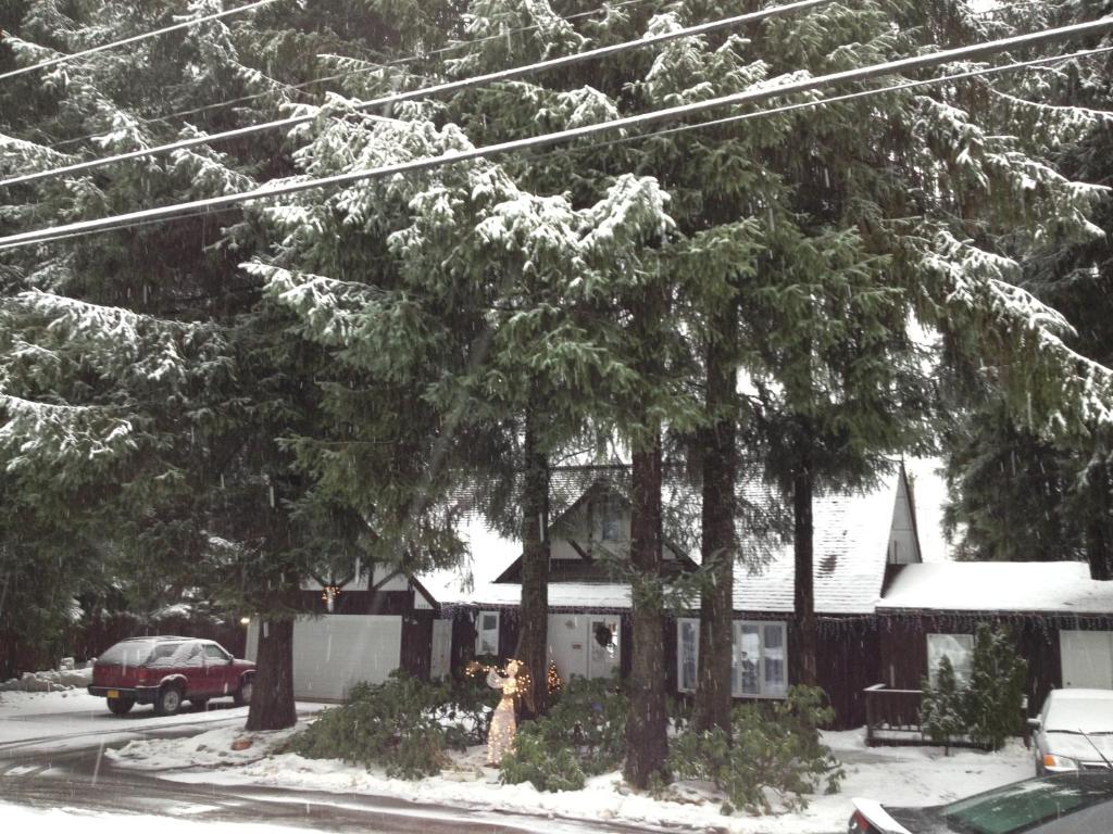 een huis met sneeuw bedekte bomen in een tuin bij Grandma's Suite - PRIVATE APARTMENT REDUCED PRICE ON TOURS in Juneau