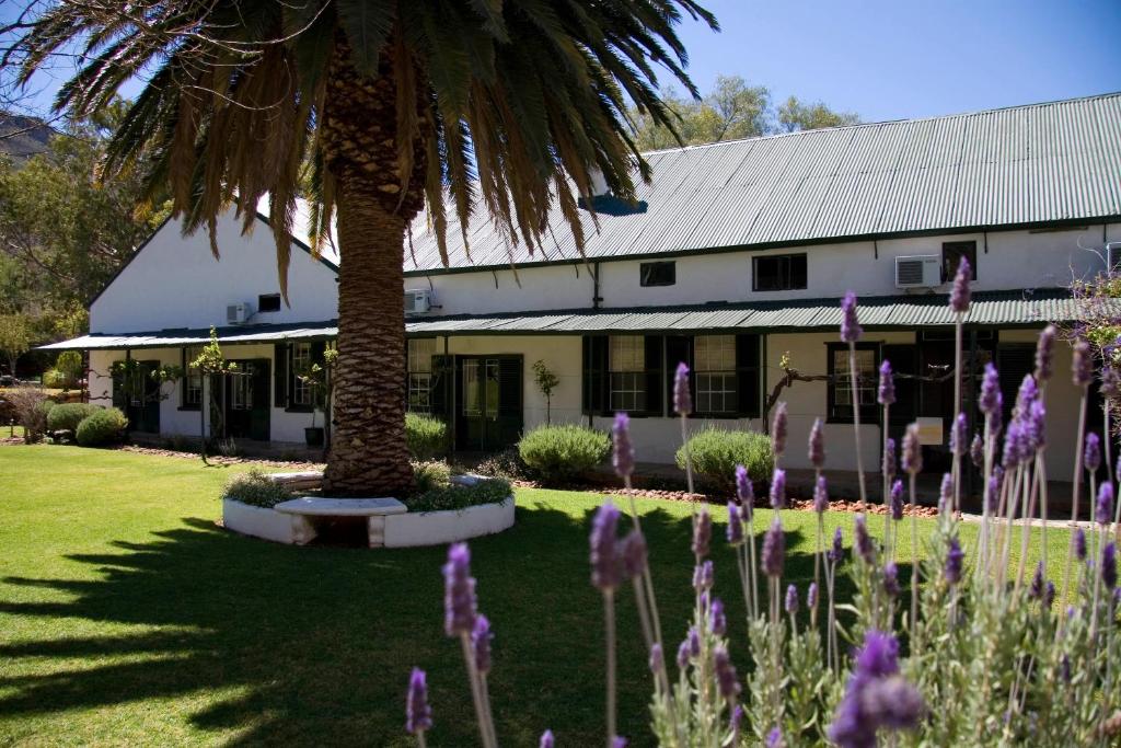 a palm tree in front of a building with purple flowers at Lemoenfontein in Beaufort West