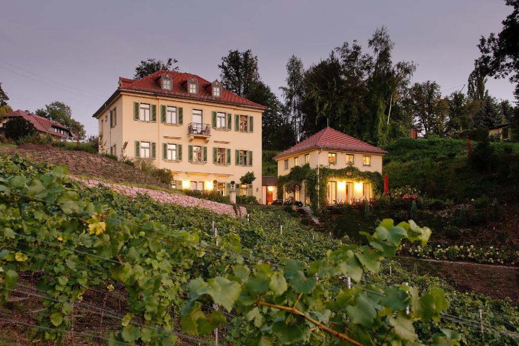 a large house on top of a hill with vines at Rebenhaus Meißen in Meißen