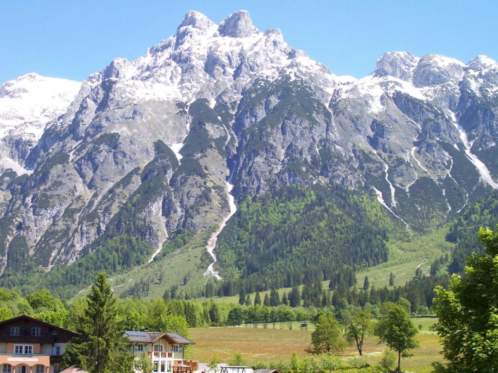 Příroda nedaleko apartmánu