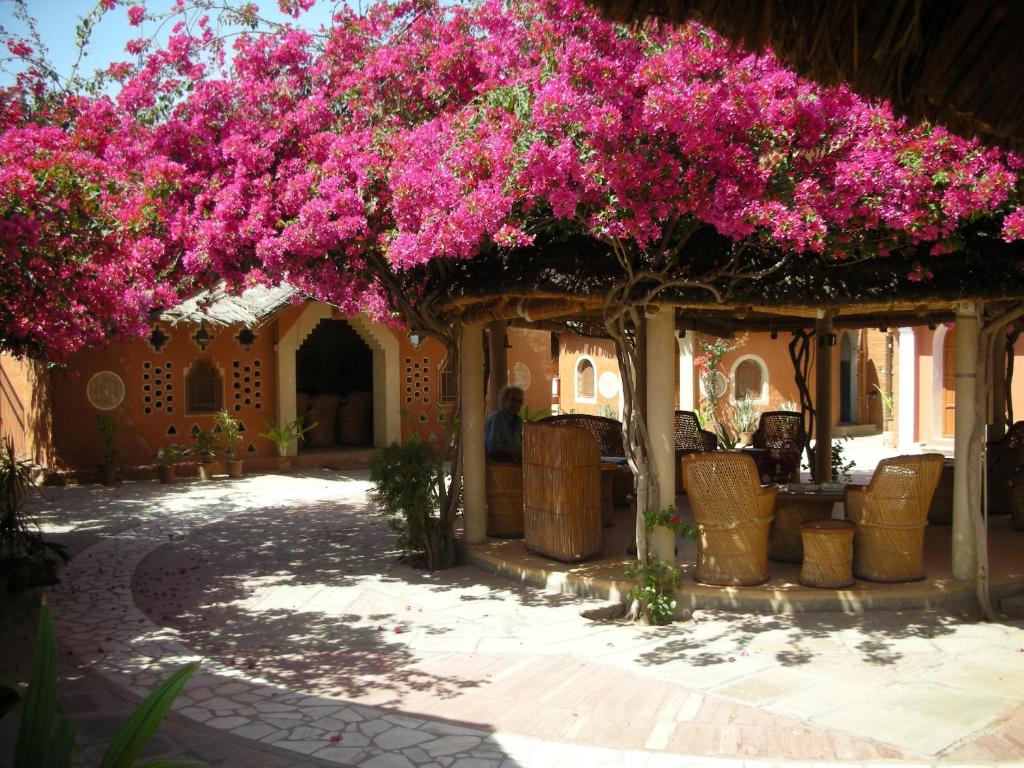 Una pérgola con flores rosas encima. en Apani Dhani Eco-Lodge, en Nawalgarh