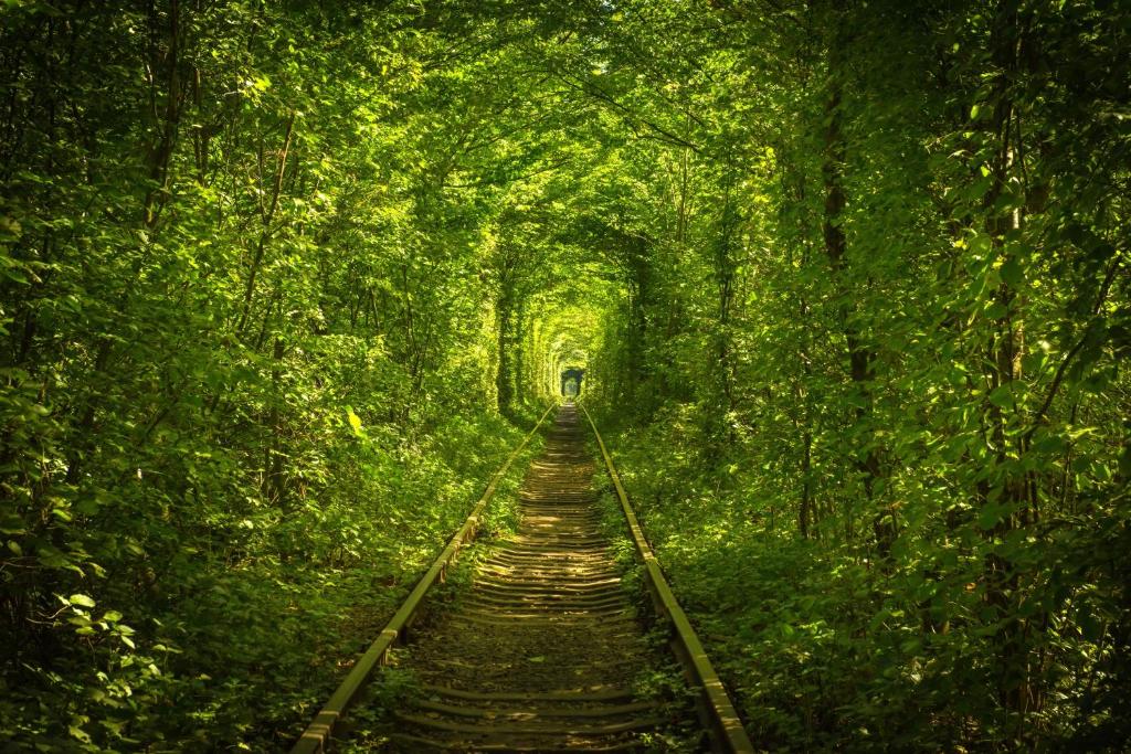 una vía de tren a través de un frondoso bosque verde en Hotel Tunnel of Love, en Klevanʼ