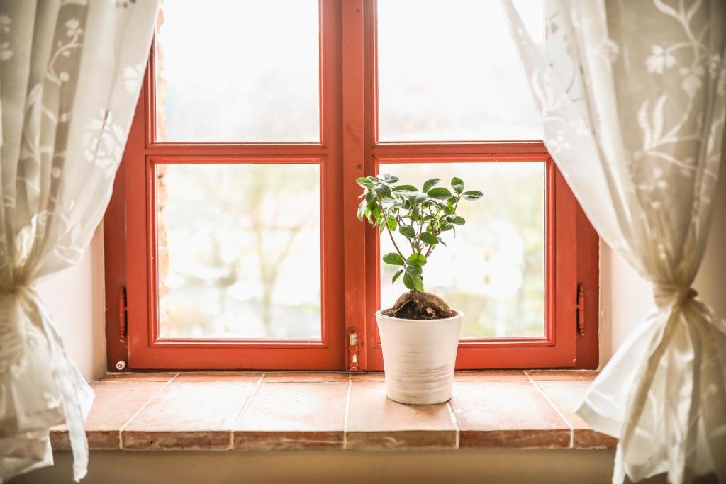 a potted plant sitting on a window sill at Statek Jakubov in Vojkovice