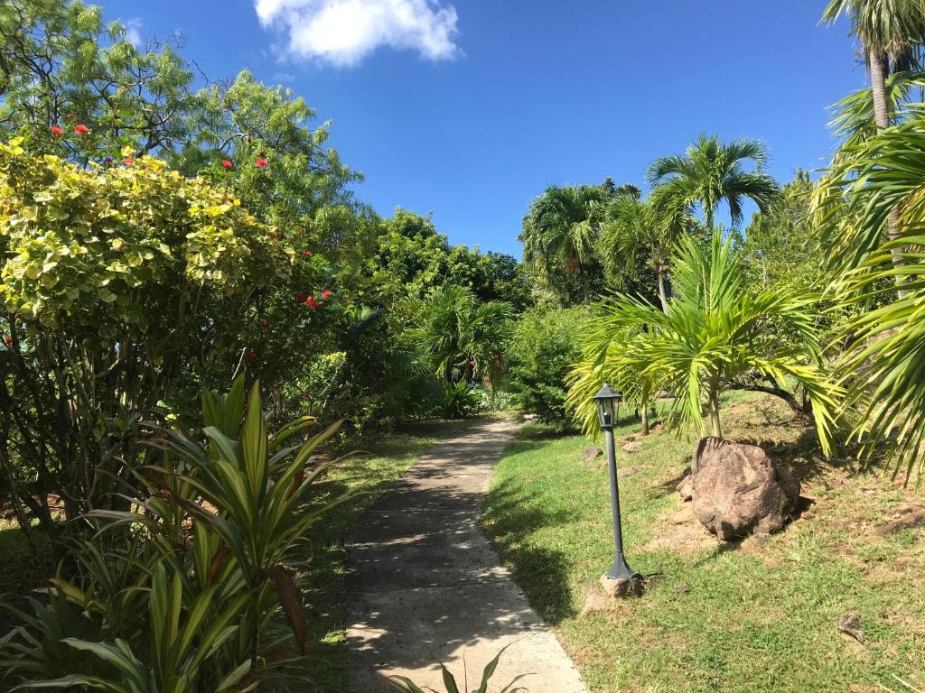 a path through a garden with palm trees and a pole at Le Rayon Vert in Deshaies