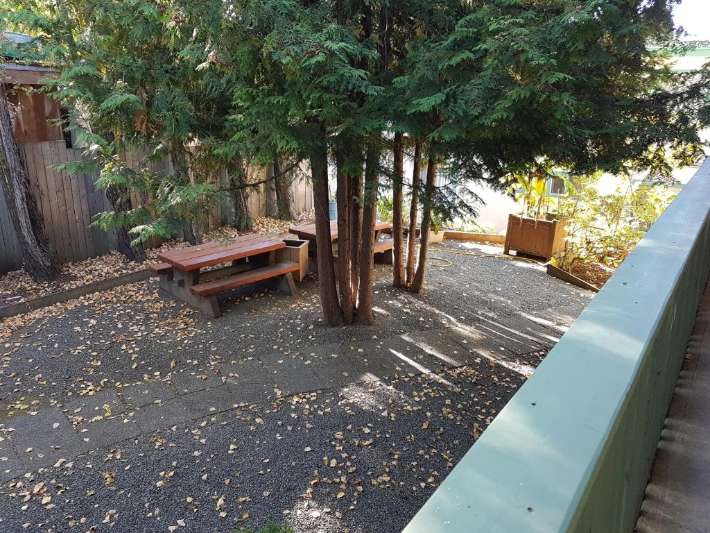 Robin Hood Inn and Suites photo
