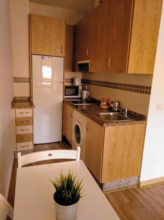 Kuchnia lub aneks kuchenny w obiekcie Apartamento Domingo Lozano