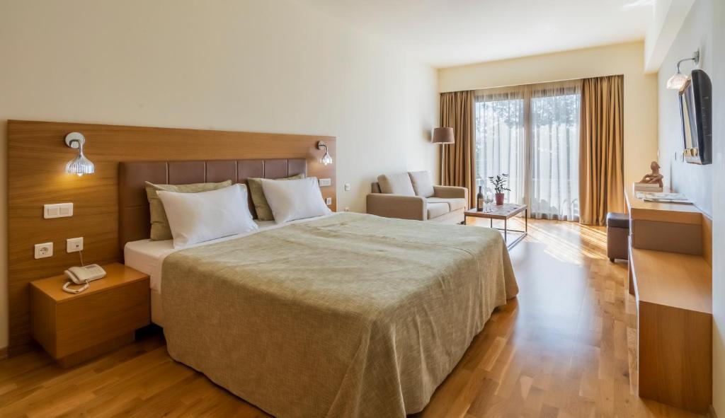 Anemolia Mountain Resort - 19