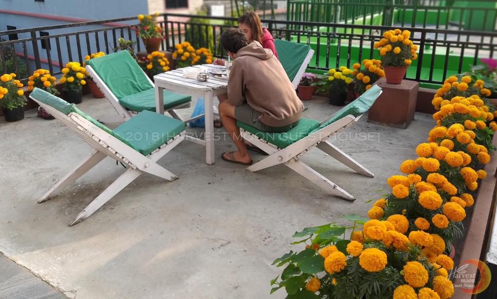 Ospiti di Harvest Moon Guest House