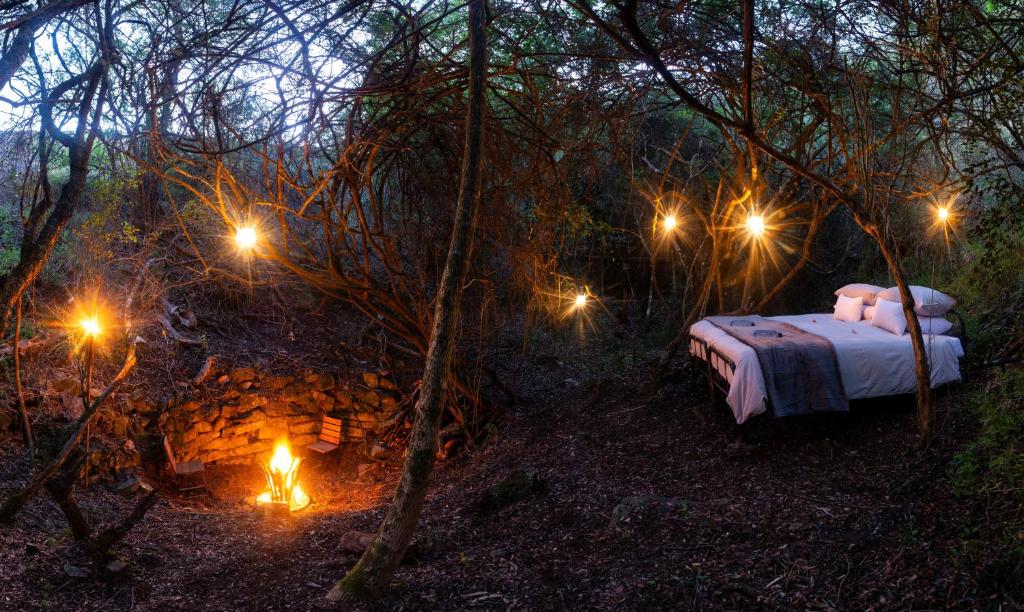 una cama en medio de un bosque con luces en Glamping Safari Camp - Bellevue Forest Reserve en Addo