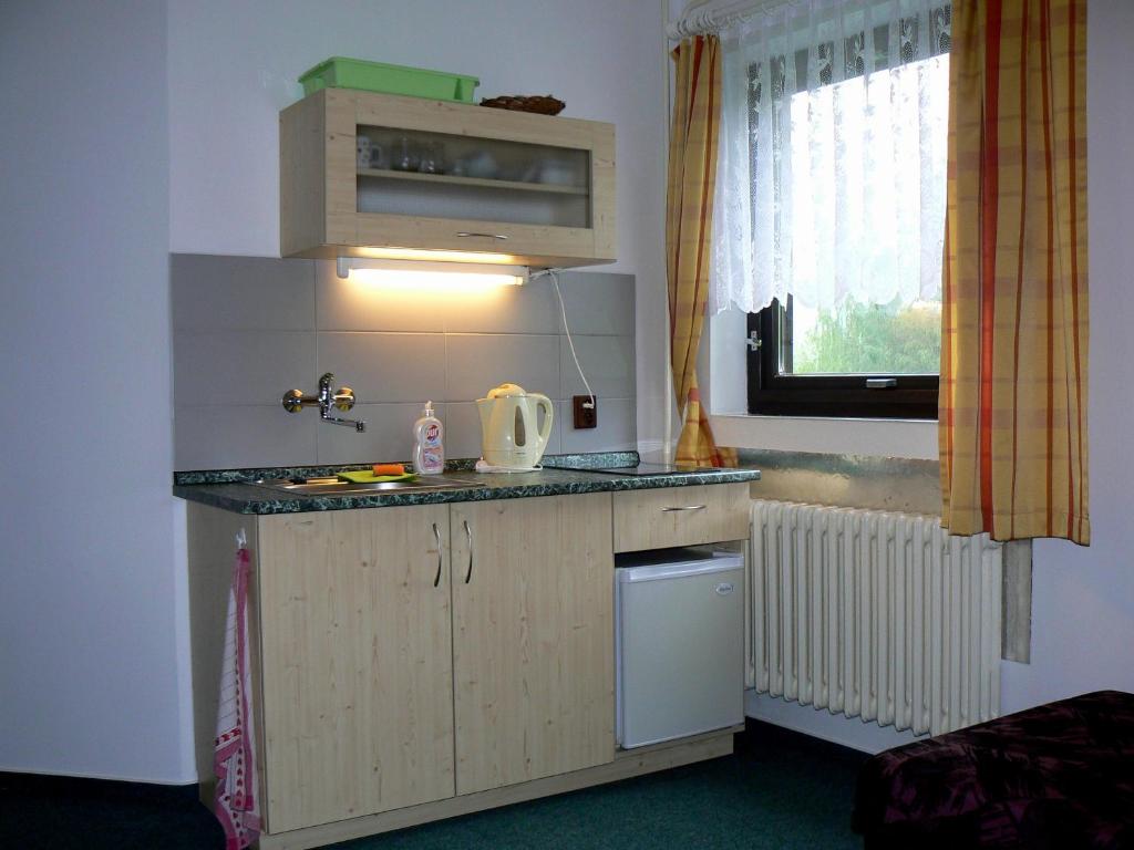 Kuchyň nebo kuchyňský kout v ubytování Pension Kubát