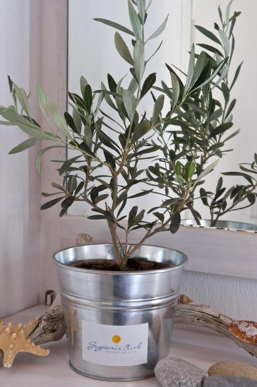 Gryparis' Club Apartments - 7