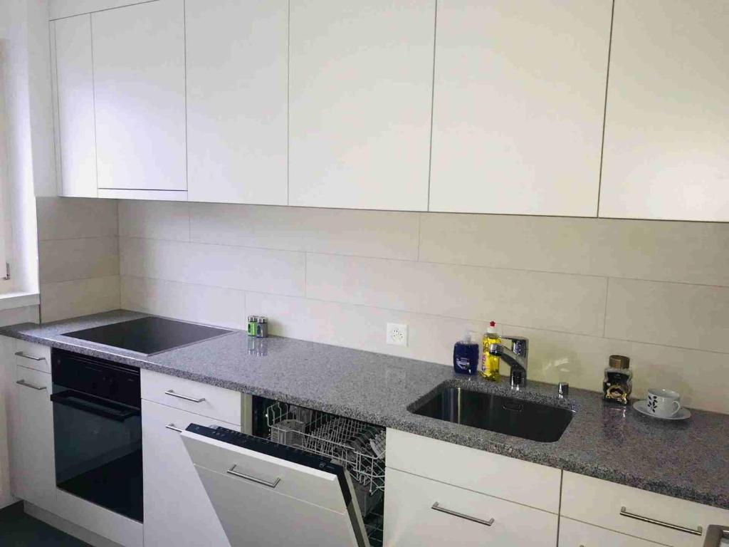 A kitchen or kitchenette at 3 Room Premium Apartment Buchs SG