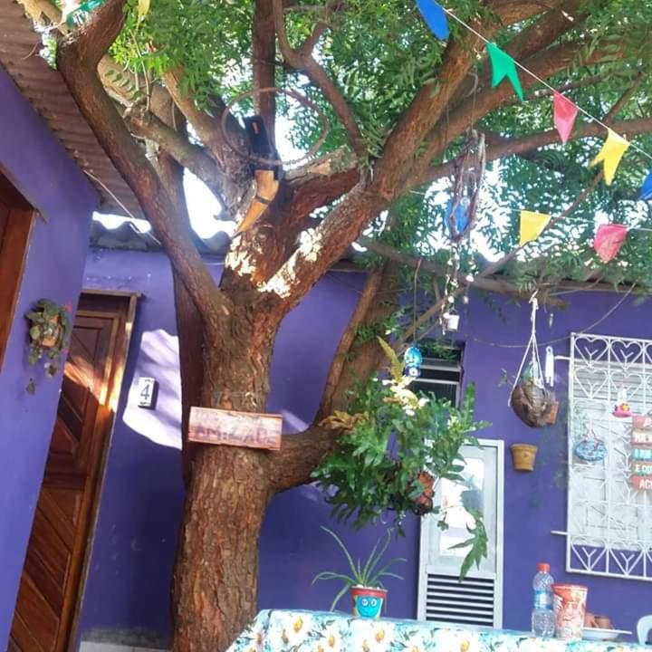  Hostel Margo