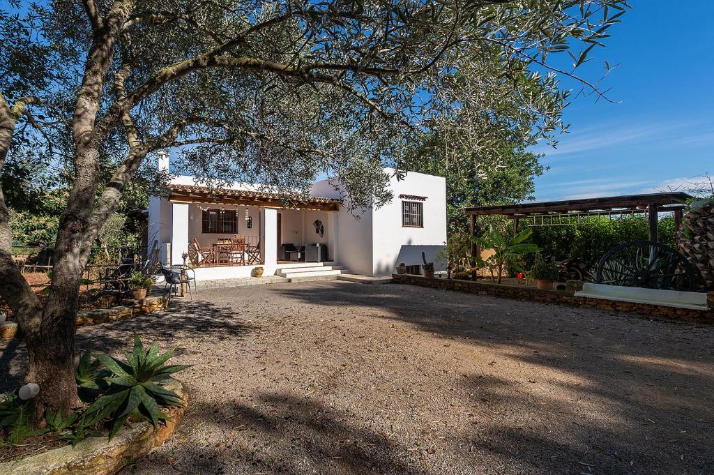 a white house with a tree in front of it at Villa Can Turrent in Sant Carles de Peralta