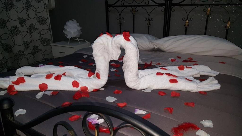 Letto o letti in una camera di Alba Camere