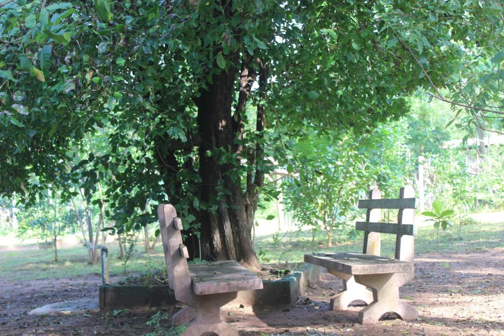 Zahrada ubytování Wilpattu Holiday Home