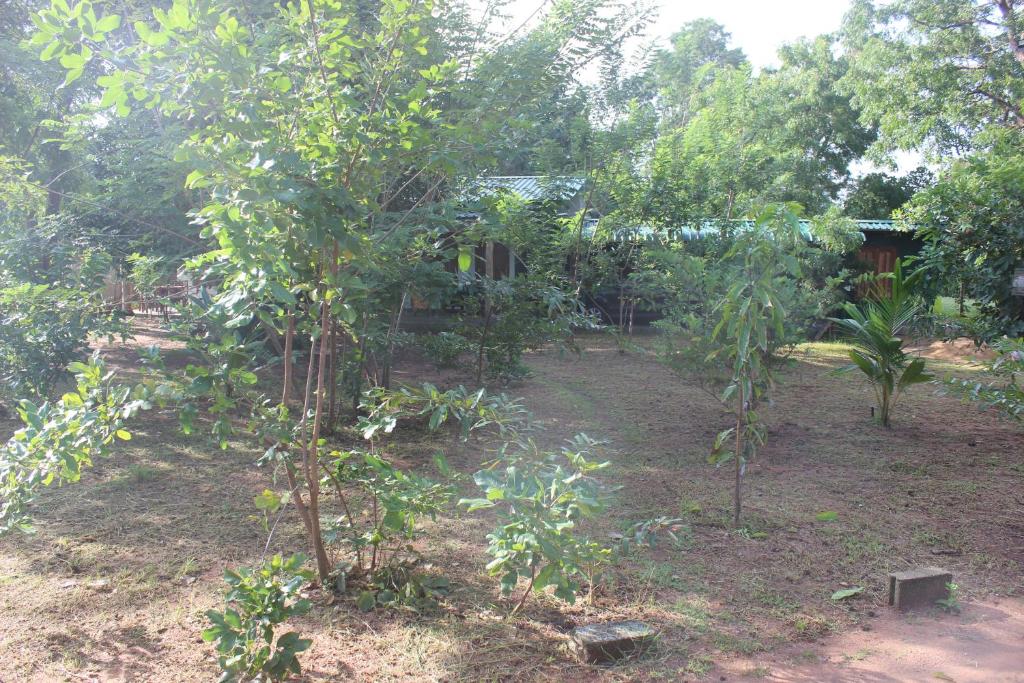 Zahrada ubytování Wilpattu Holiday Home