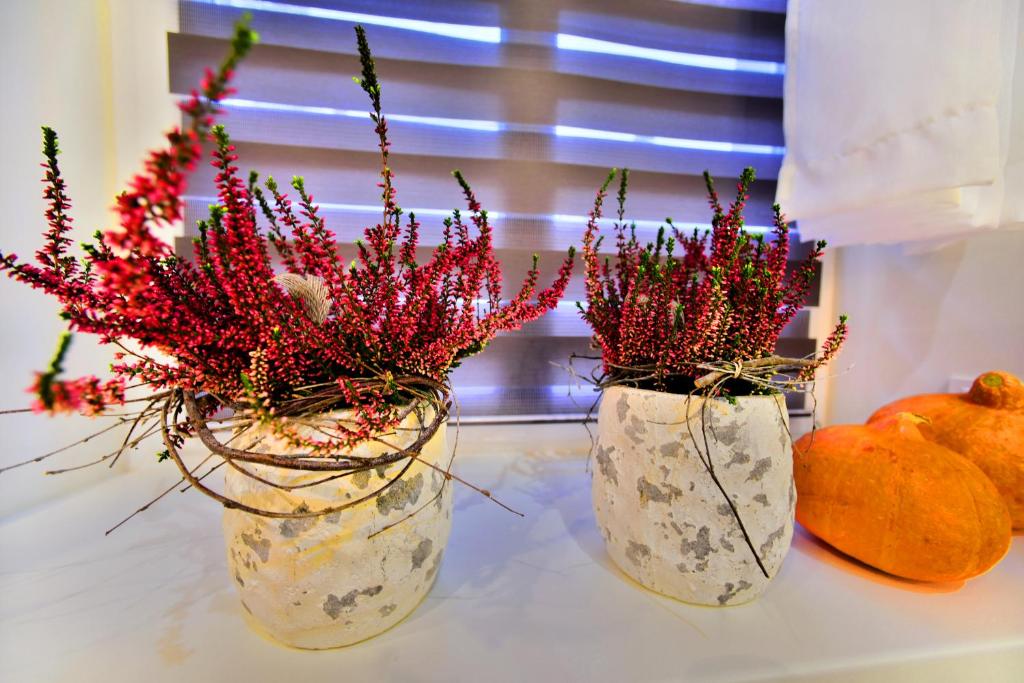 Apartamenty Sjesta Centrum w centrum miasta z prywatnym parkingiem - 16