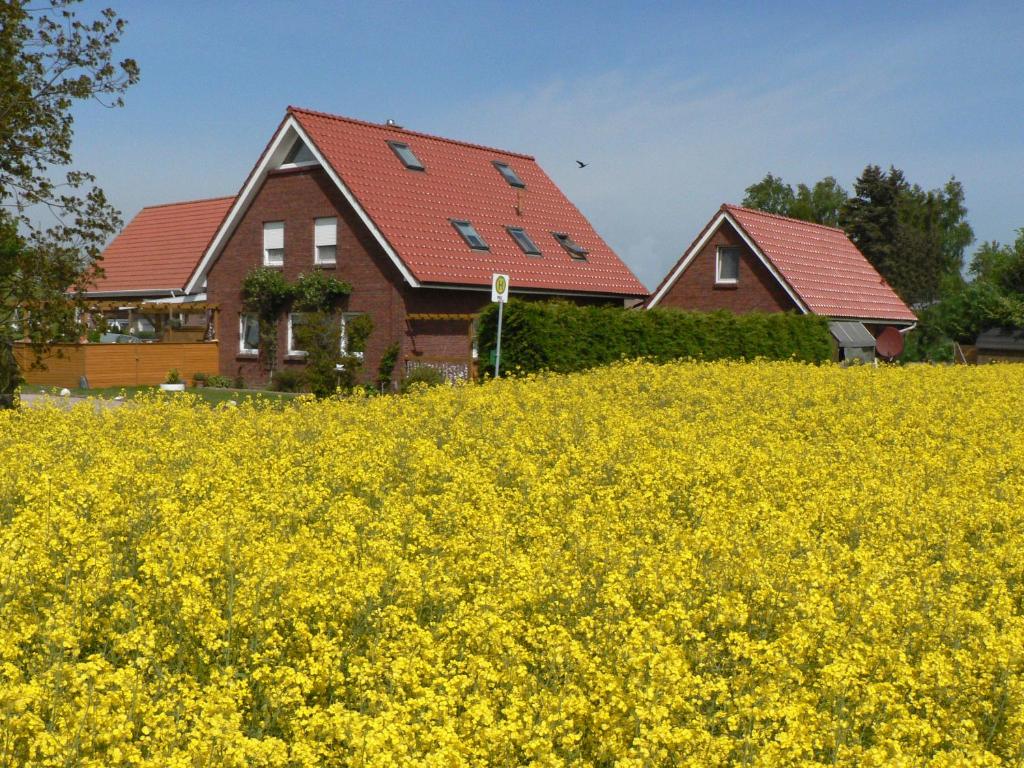 フェーマルンにあるEin Haus am Kornfeldの黄花畑の家