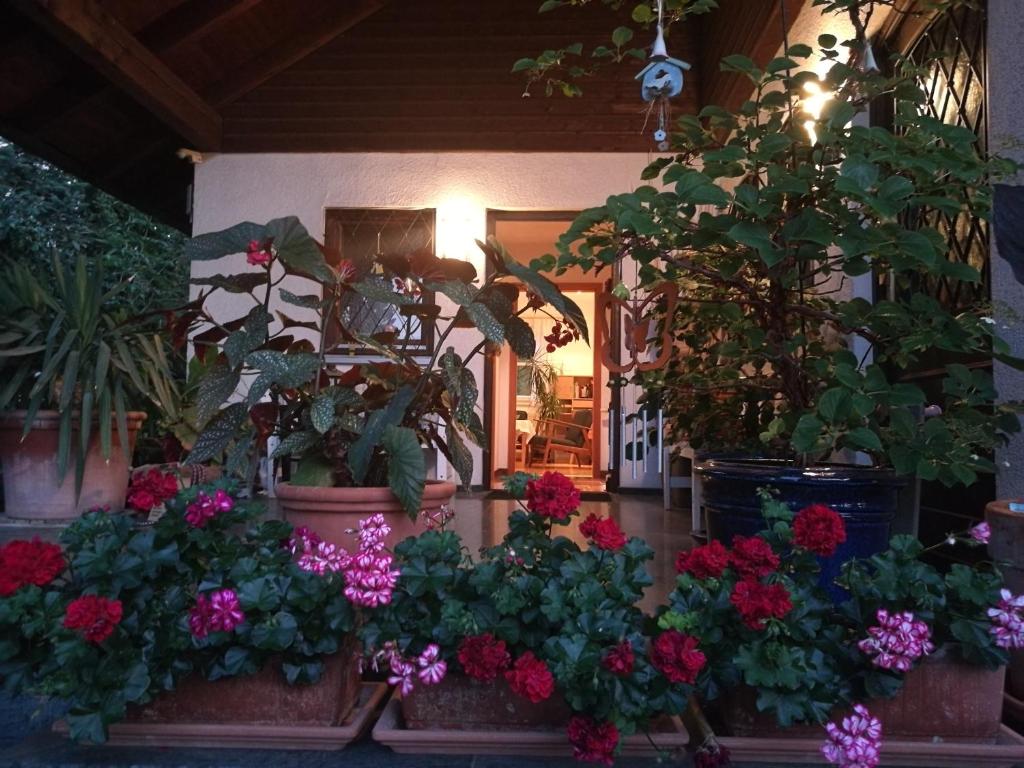 Zahrada ubytování Apartment HAUS MERLIN am Böckelsberg