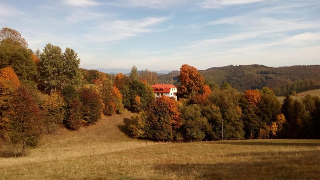 Příroda nedaleko apartmánu