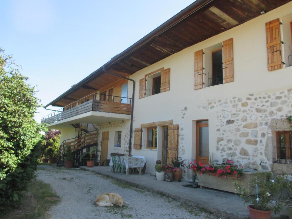 un perro tirado en el suelo frente a un edificio en la ferme du parroi, en Annecy