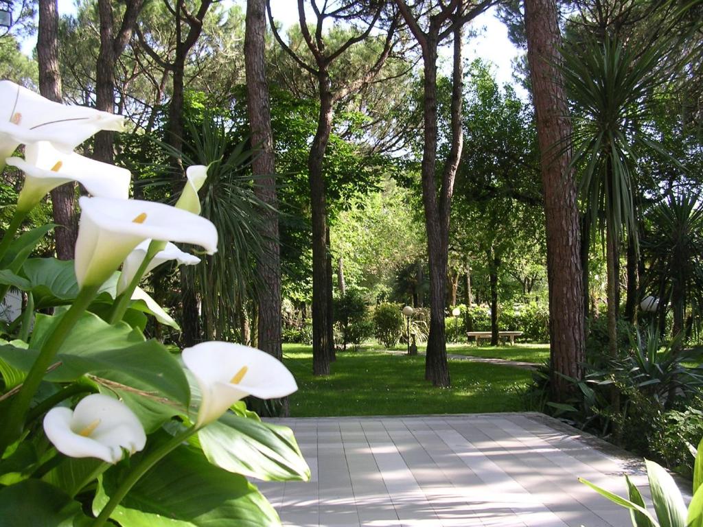 uma passarela num parque com flores brancas em Hotel Valdor em Cavallino-Treporti