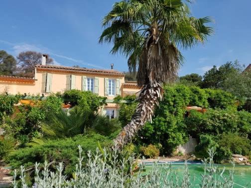 a palm tree in front of a house with a swimming pool at LES PALMIERS TOULON in Toulon