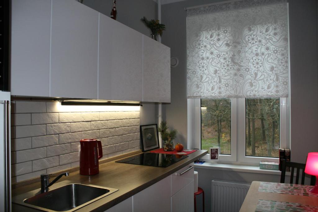 スヴェトロゴルスクにあるSunny forestの白いキャビネット、シンク、窓付きのキッチン
